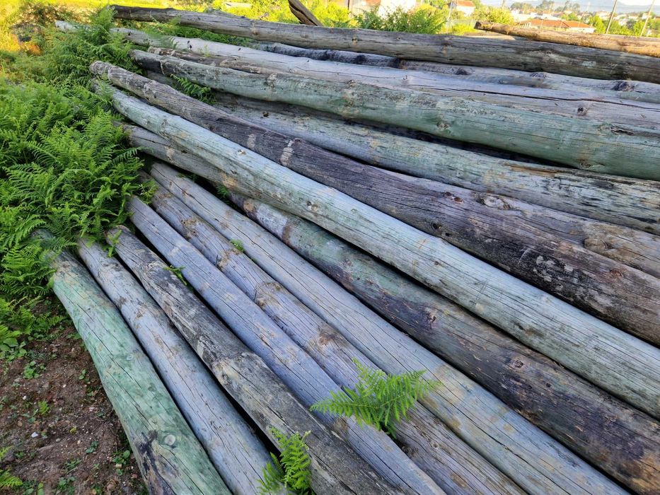 Postes telefone de madeira tratada