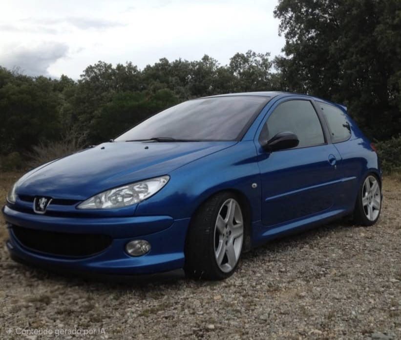 Peugeot 206 xs  2.0hdi