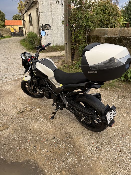 Benelli leoncino 250