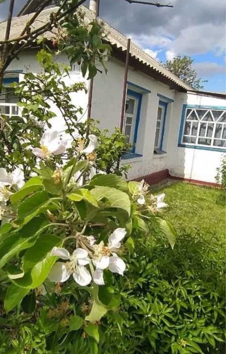 Продам Будинок з санвузлом, 25 соток землі с.МоскаленкИ