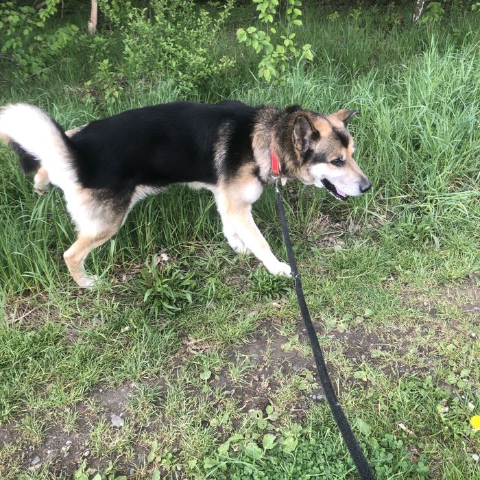 Kto pokocha cudownego Hugo?