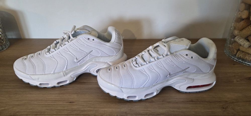 Nike Air Max Plus (41)