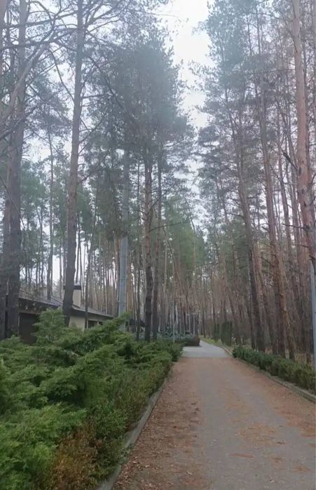 Продаж земельної ділянки