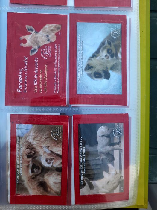Pacotes de açúcar Sical "Na origem de uma visita ao zoo"