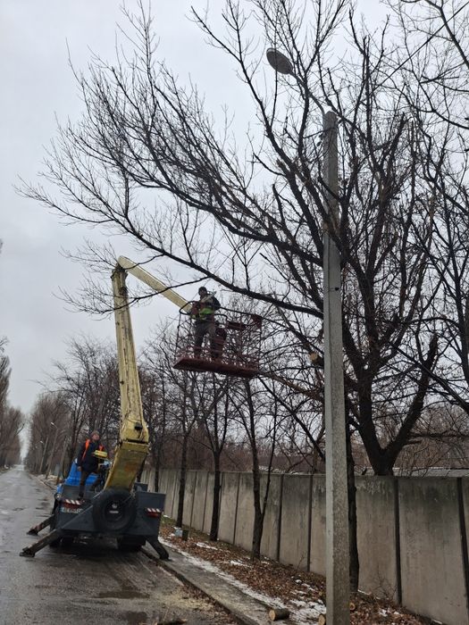 Спил деревьев Расчистка участка Корчеванае Цена