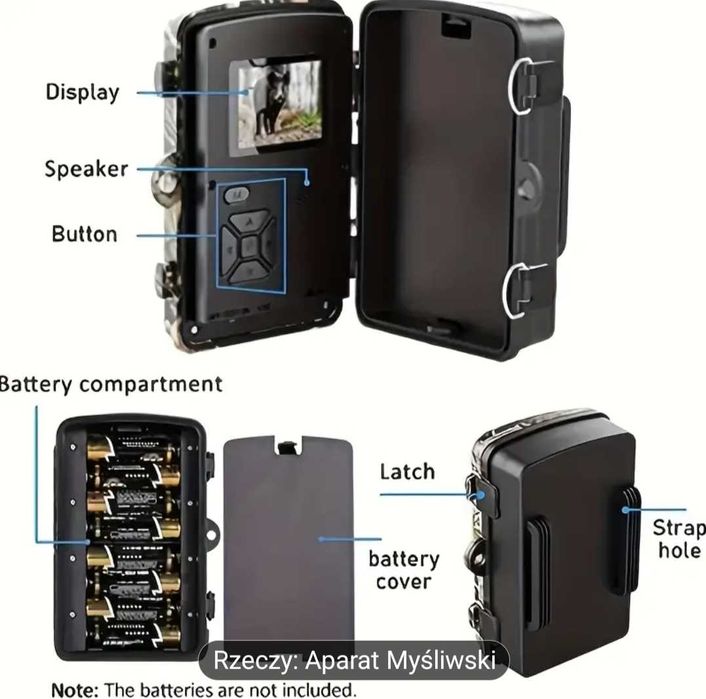 Foto pułapka kamerka leśna