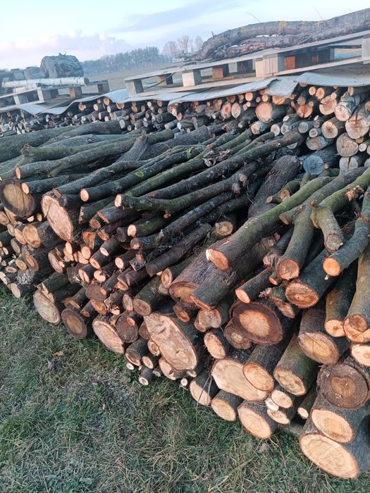 Drewno opałowe dąb