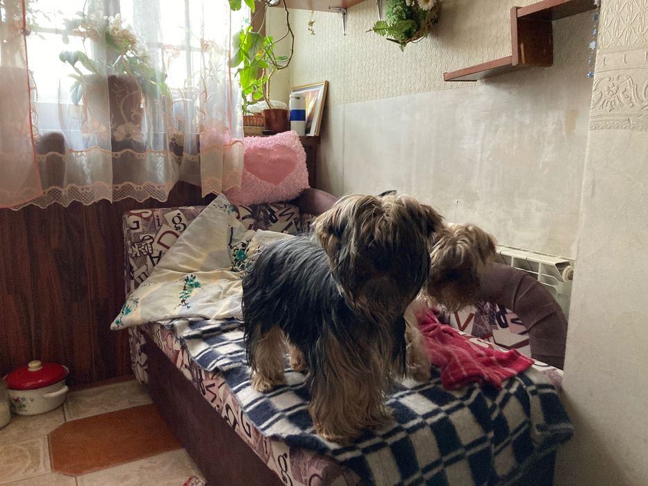 Прекрасные девочки и мальчики