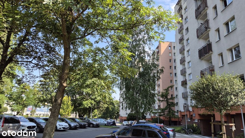 3 pokoje przy Granicznej / Do wprowadzenia się / Panorama Katowic