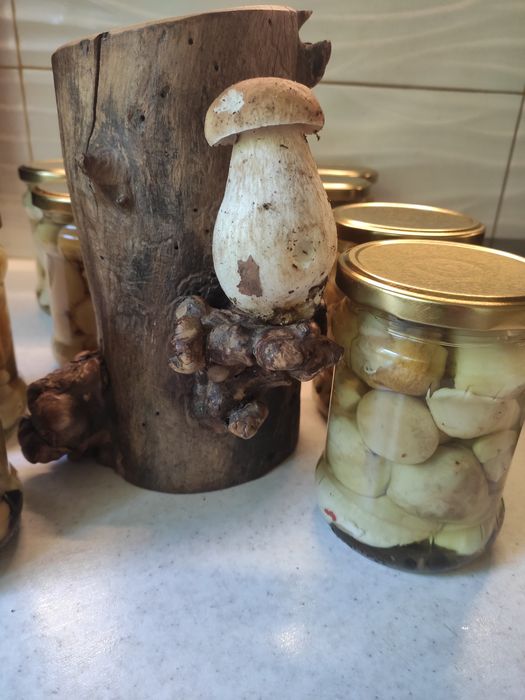 Prawdziwki marynowane