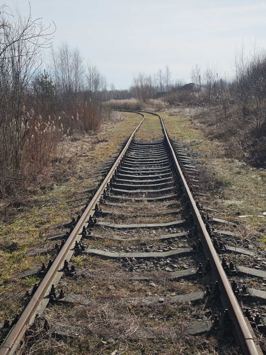 здам в оренду колію