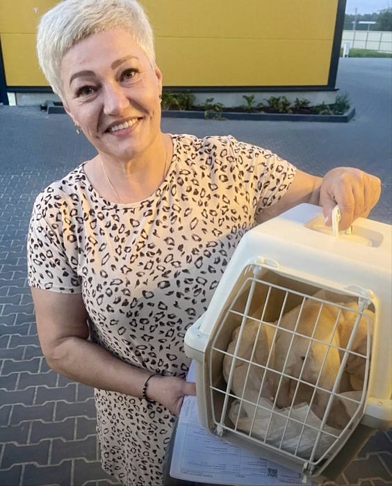 Перевезення тварин закордон. Виїзд кожного тижня! Доставка тварин.