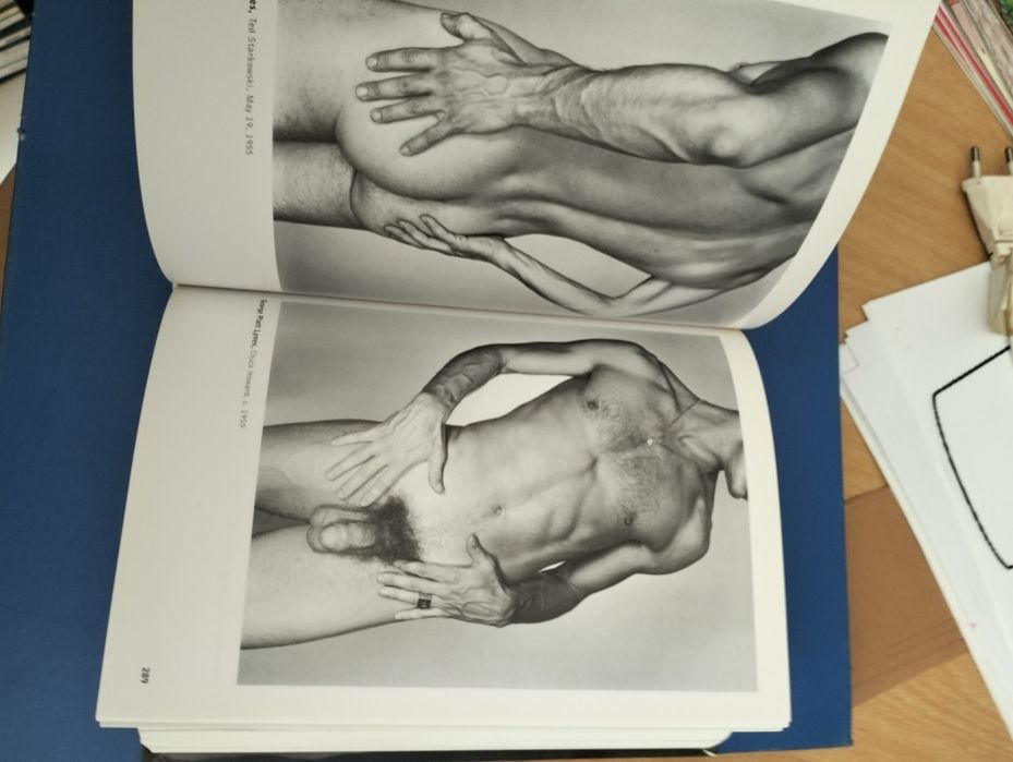 The Male Nude de David Leddick,