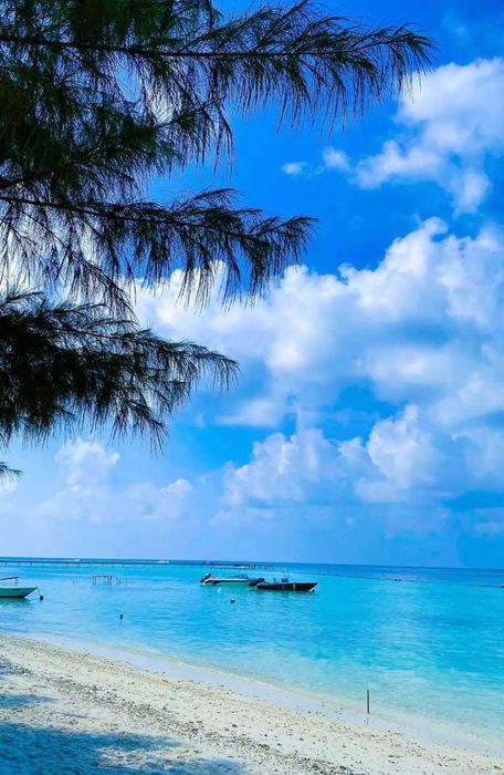 Продаж квартири, готель Radisson на Мальдівах з доходом 18% річних