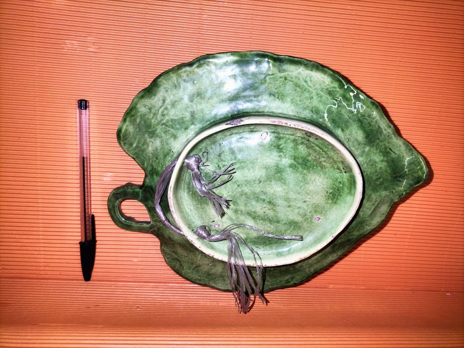 Parra com frutos Caldas da Rainha