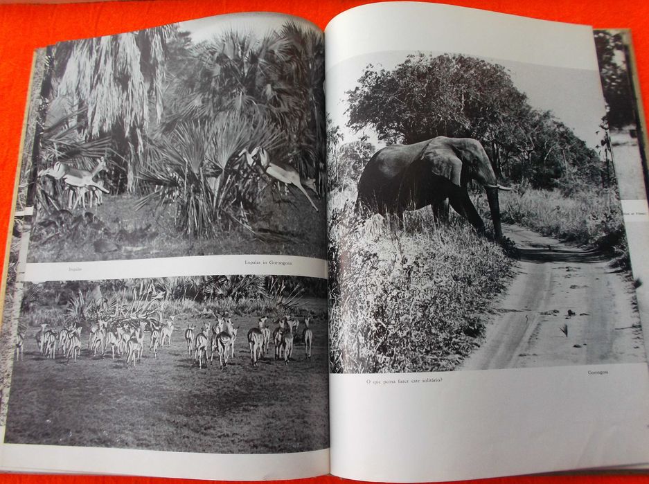 Moçambique - Frederic P. Marjay