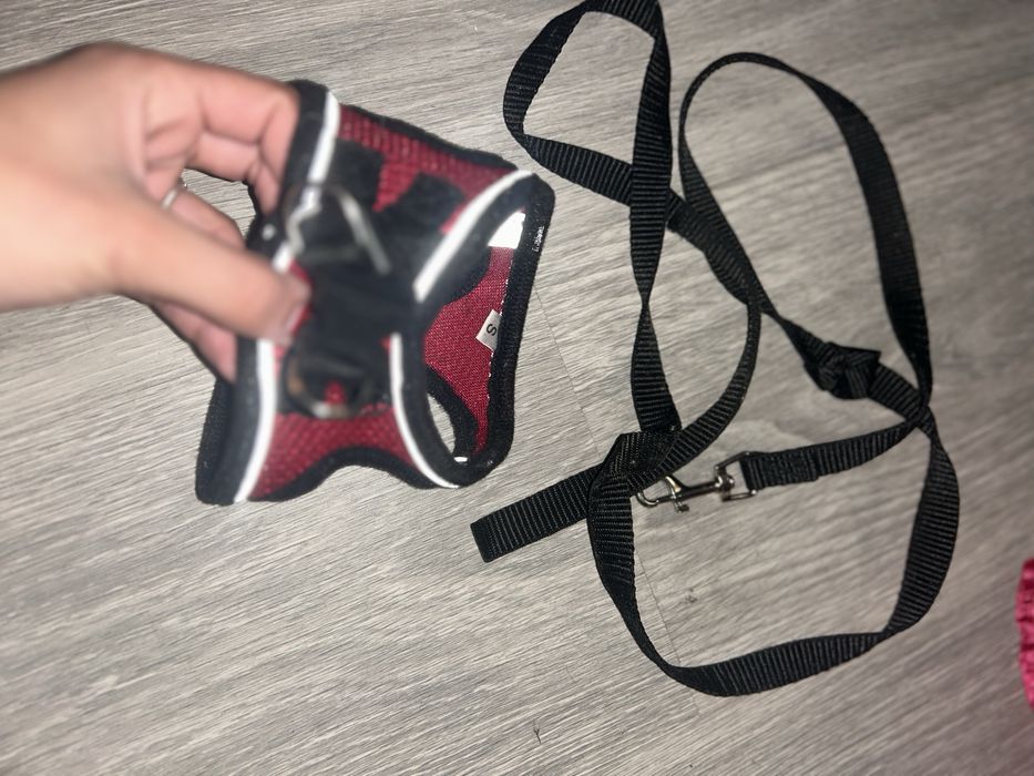 Kit Completo de Acessórios para Gato – Ótimo Estado