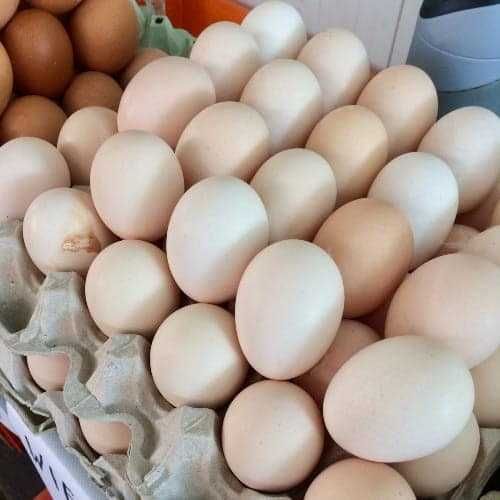 Świeże wiejskie jaja i sery