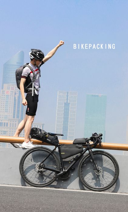 Bolsa triangular Rhinowalk 4L para bicicleta