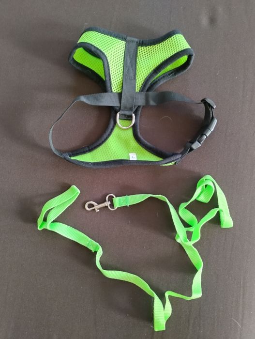 Все для собачки.