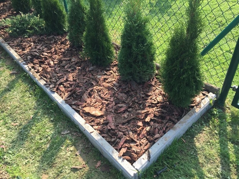 Kora sosnowa ogrodowa