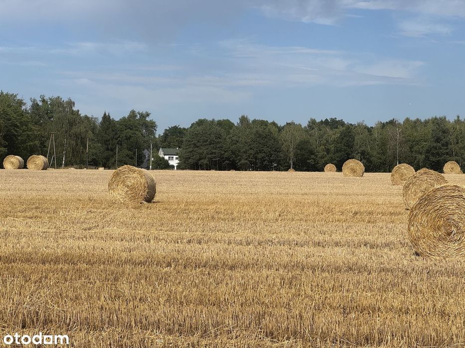 Posiadłość pod Kępnem-2 domy, restauracja, mieszkania, stajnia i stawy