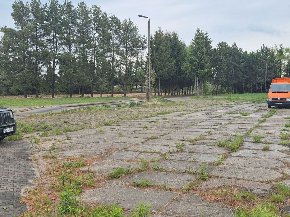 Pomieszczenia biurowe, plac, waga do wynajęcia
