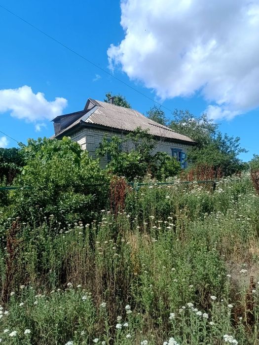 Продам будинок в селі Петрозагір'я