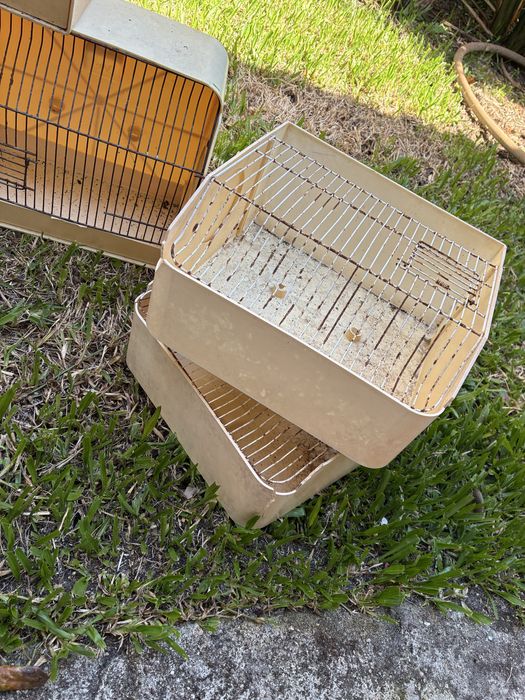 Doze gaiolas de exposição para pássaro