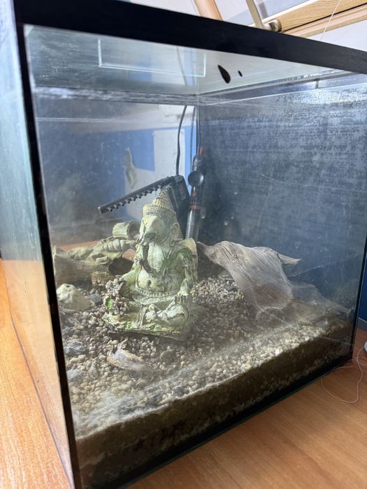 Акваріум аквариум терариум квадртаный 40л