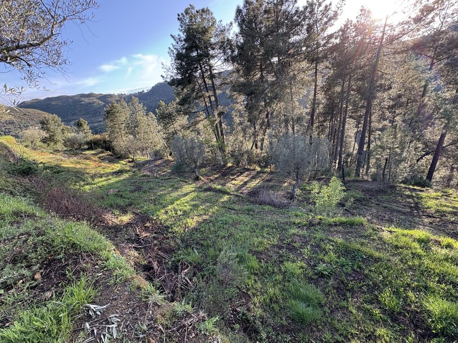 Terreno Murça 5100m