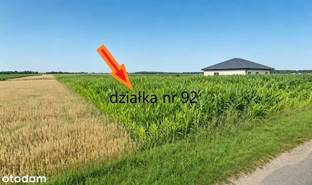Działka Budowlana W Grodzisku - Blisko Zbuczyna