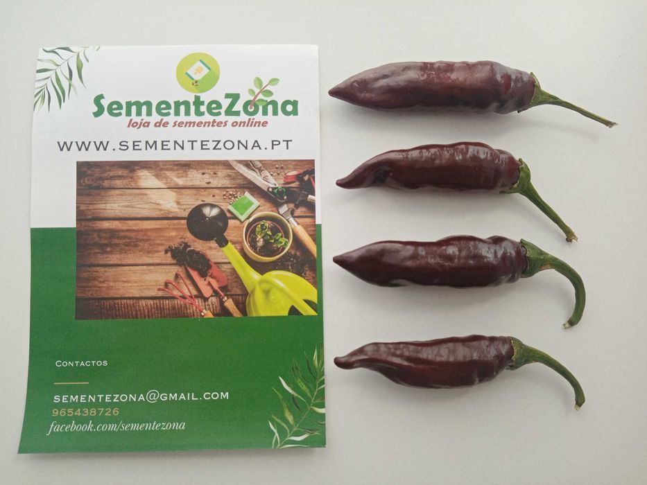 10 Sementes Pimenta Ethiopian Brown Berbere