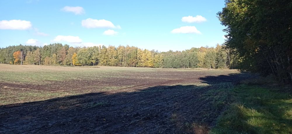 10,52 ha TUZ - łąki/pastwiska - jeden kawałek - dopłaty - gmina Kiwity