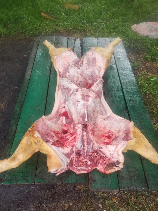 Туші свиней з домашнього господарства,пів туші,четвертини