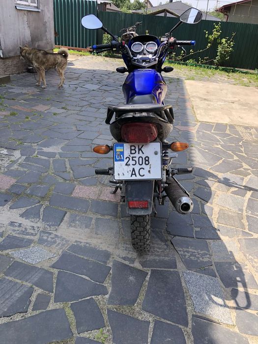 Viper V150A 2020