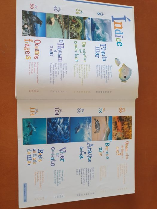 A minha enciclopédia dos oceanos