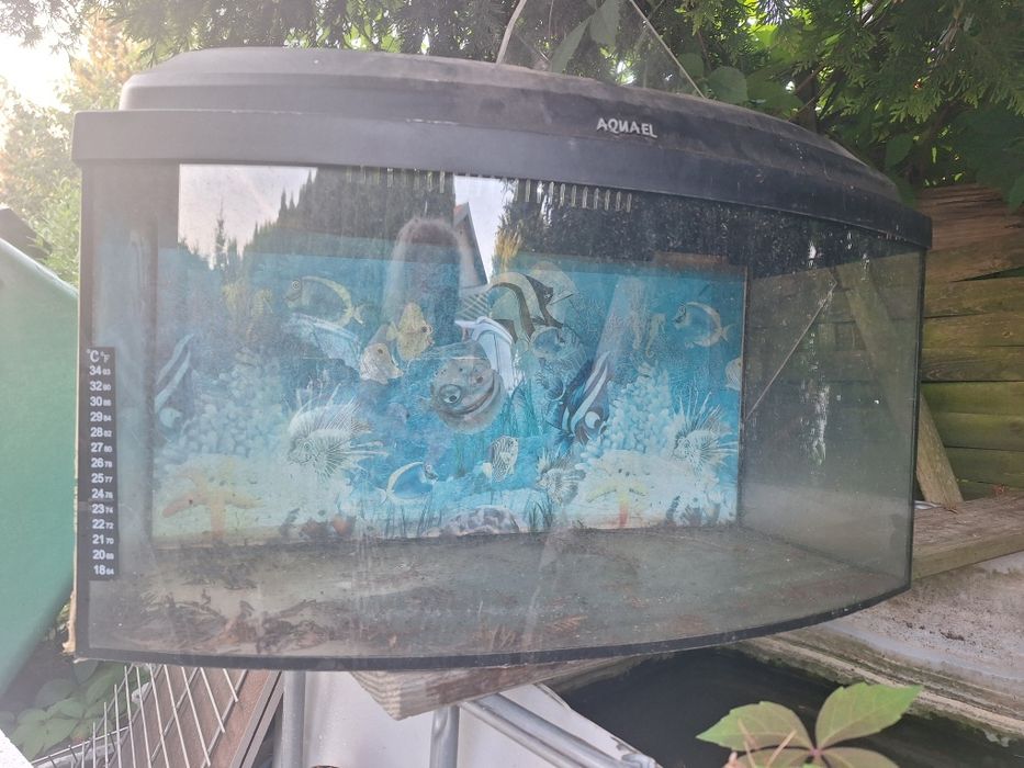 Akwarium  z przykrywą 60 L