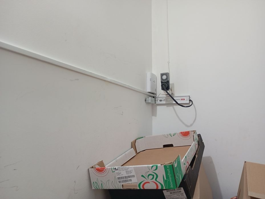 Luzes néon "Até cresce água na boca"