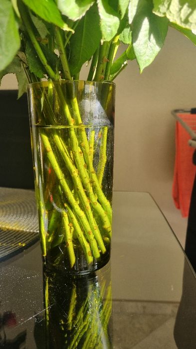 Скляні органайзайзери, вази, стакани