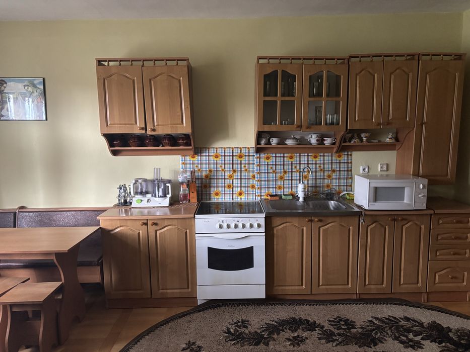 Будинок, оренда житла для великої компанії (Vidi House Верховина)