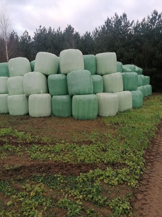 Sprzedam bele sianokiszonki