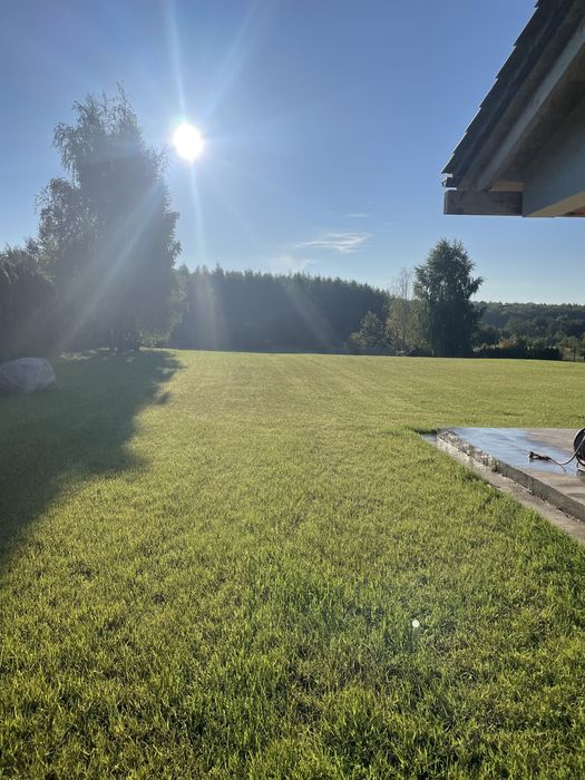 Ogrodnik, prace ogrodowe, trawa siew, wertykulacja