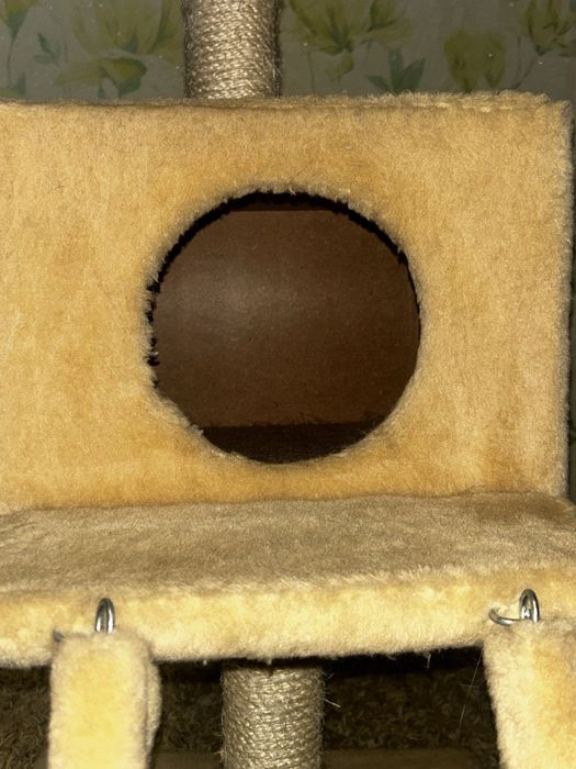 Будинок для котиків