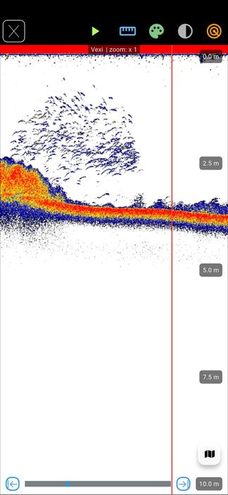Extreme-Master Sonar S200 – echosonda do łódki zanętowej