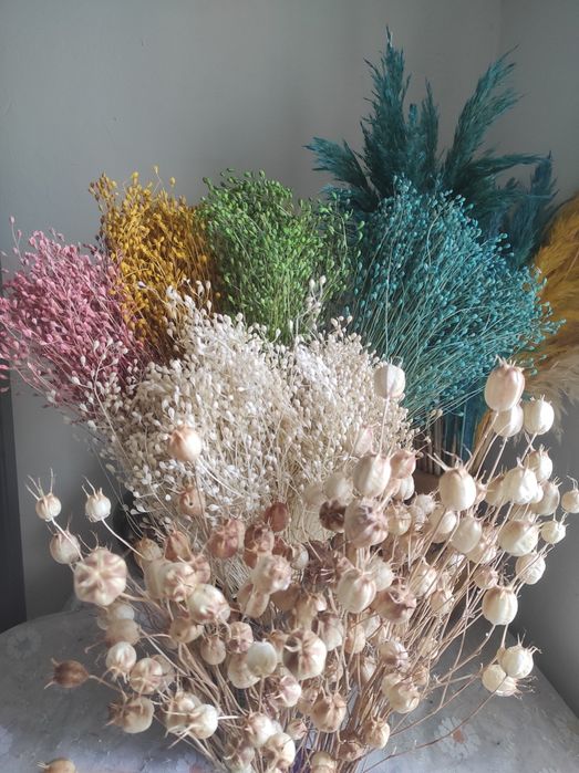 Сухоцвіти Льон.  Сухоцветы Просо кермек врсянка