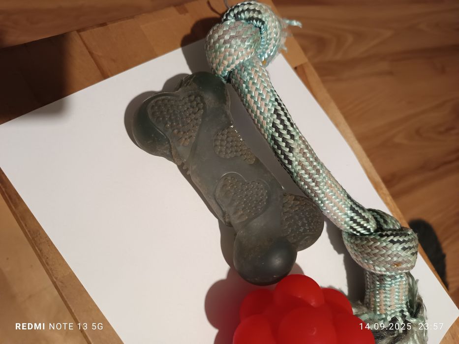 Zabawki dla szczeniąt