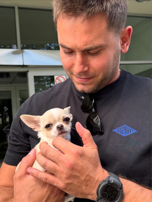 Trener Psów - Behawiorysta