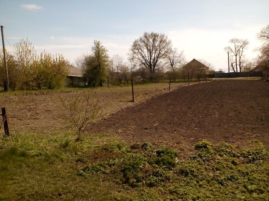 Продажа участка 53сотки