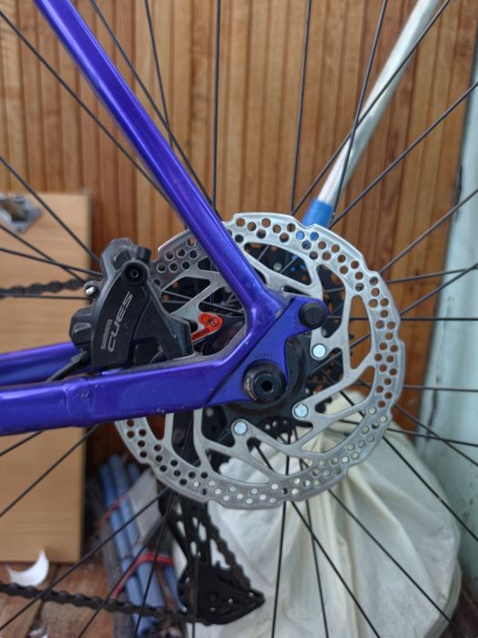 Canyon endurace allroad 2026